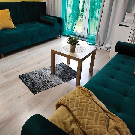 Lemon House Apartment กดัญสก์ ภายนอก รูปภาพ